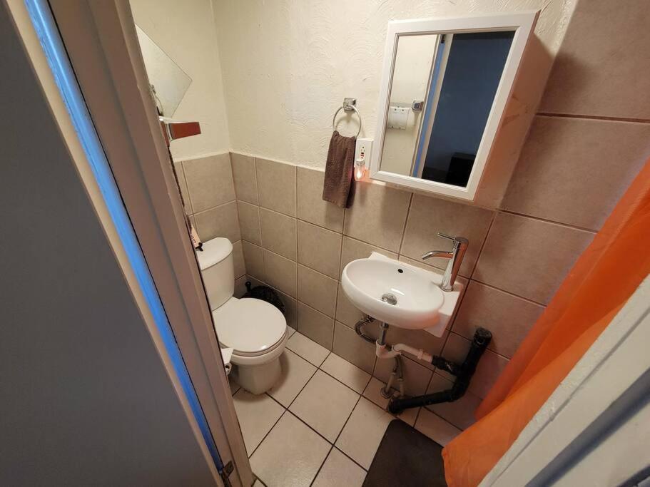 Comfortable Apartment - Pittsburgh'S Little Italy מראה חיצוני תמונה