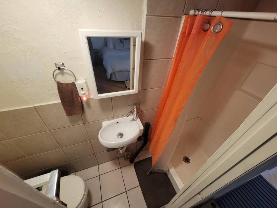 Comfortable Apartment - Pittsburgh'S Little Italy מראה חיצוני תמונה